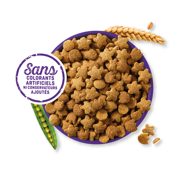 St&eacute;rilis&eacute;