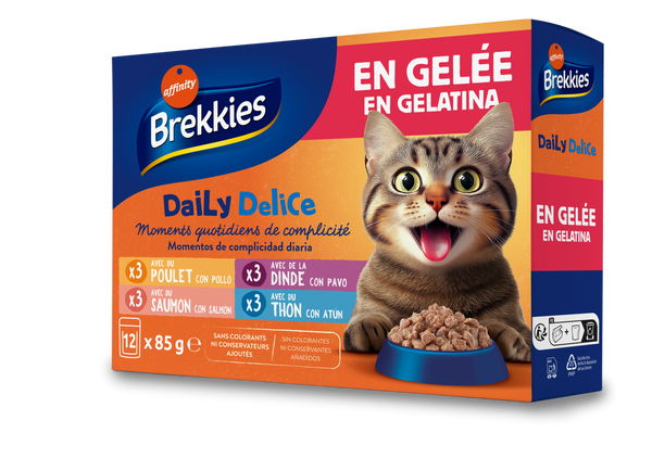 Daily Delice en gelatina