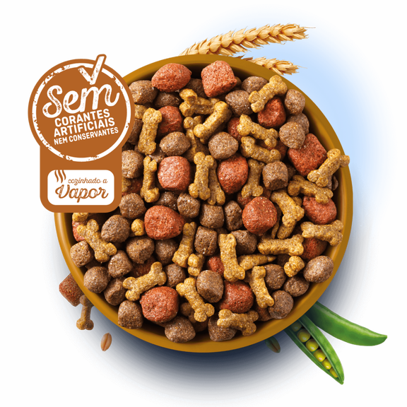 Mini (1-10 kg)