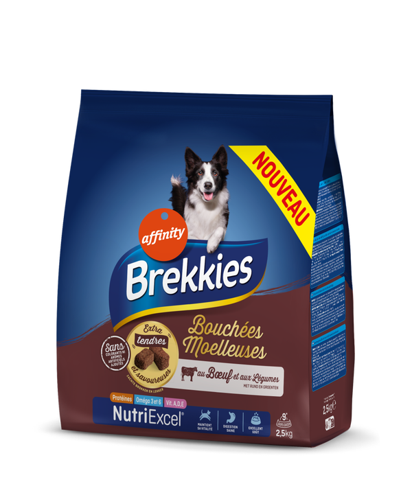 Brekkies Dog Medium Beef Dry