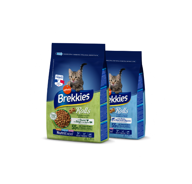 Pack Gato Rolls Hover