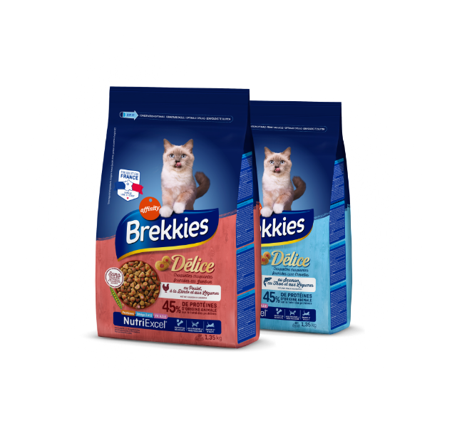 Pack Gato Délice Hover